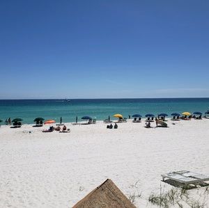 Meet your Posher, Timothy